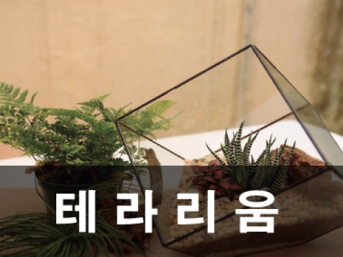 테라리움