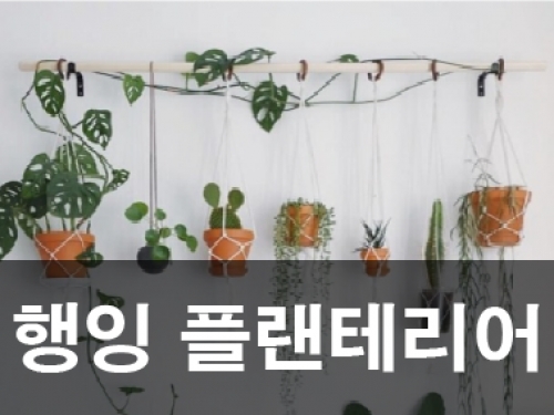 행잉플랜테리어